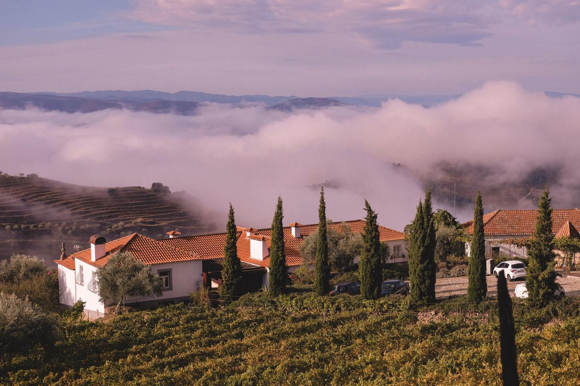 Casal De Tralhariz - Douro Valley Bagian luar foto