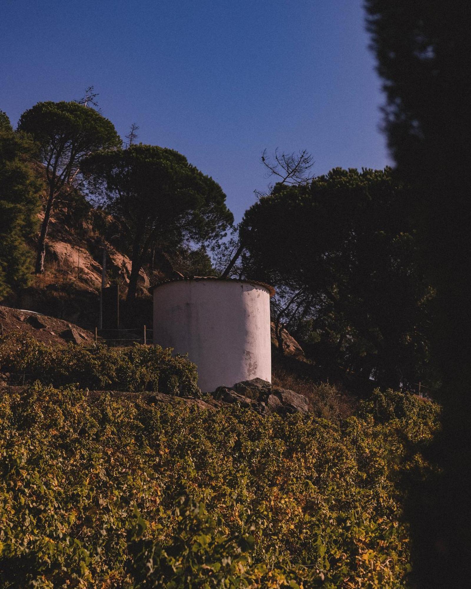 Casal De Tralhariz - Douro Valley Bagian luar foto